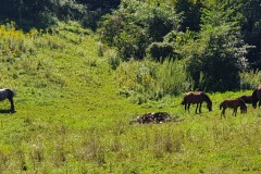 2020-08-22-Wanderung-Catez-ob-Savi-22