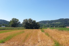 2020-08-22-Wanderung-Catez-ob-Savi-24