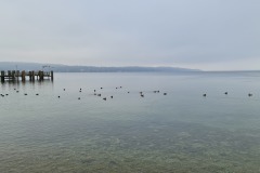 2021-02-27-Gravelbike-Tour-Starnberger-See-Ammersee-03