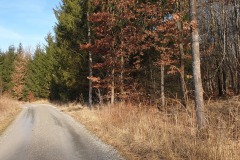 2021-02-Gravelbike-Tour-Wesslinger-See-06