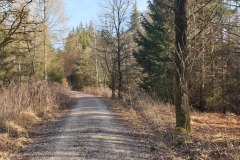 2021-02-Gravelbike-Tour-Wesslinger-See-07