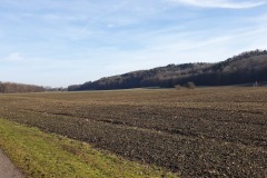 2021-02-Gravelbike-Tour-Wesslinger-See-09