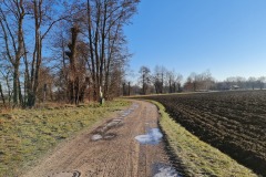 2021-03-06-Gravelbike-Hohenkammern-06