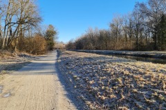 2021-03-06-Gravelbike-Hohenkammern-08