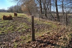 2021-03-06-Gravelbike-Hohenkammern-17