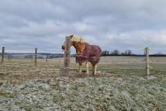 2021-03-20-Gravelbike-Tour-Nordwestausfahrt-08