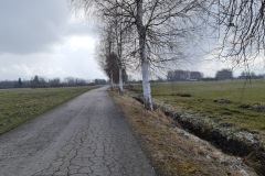 2021-03-20-Gravelbike-Tour-Nordwestausfahrt-21