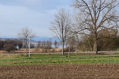 2021-04-10-Gravelbike-Ammersee-04