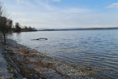 2021-04-10-Gravelbike-Ammersee-11