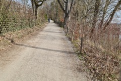 2021-04-10-Gravelbike-Ammersee-25