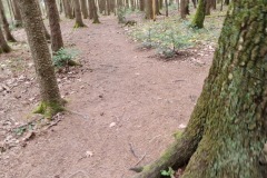 2021-04-10-Gravelbike-Ammersee-32