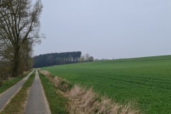 2021-04-17-Gravelbike-Tour-Sisi-Schloss-07