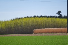 2021-04-24-Graveltour-Lech-56