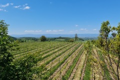 2021-05-30-Wanderung-Totenkopf-01