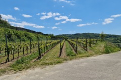 2021-05-30-Wanderung-Totenkopf-03