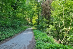 2021-05-30-Wanderung-Totenkopf-09