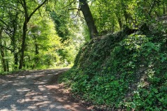 2021-05-30-Wanderung-Totenkopf-10