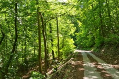 2021-05-30-Wanderung-Totenkopf-16