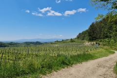 2021-05-30-Wanderung-Totenkopf-20