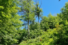 2021-05-30-Wanderung-Totenkopf-21