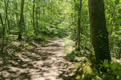 2021-05-30-Wanderung-Totenkopf-30