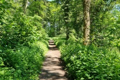 2021-05-30-Wanderung-Totenkopf-33