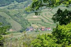 2021-05-30-Wanderung-Totenkopf-54