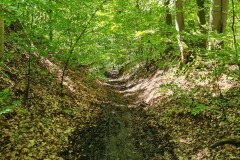 2021-05-30-Wanderung-Totenkopf-66