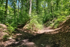 2021-05-30-Wanderung-Totenkopf-68