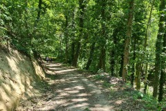 2021-05-30-Wanderung-Totenkopf-70