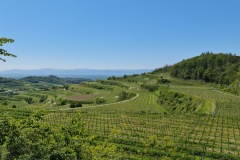 2021-05-30-Wanderung-Totenkopf-72