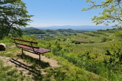 2021-05-30-Wanderung-Totenkopf-81