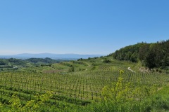 2021-05-30-Wanderung-Totenkopf-82