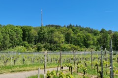 2021-05-30-Wanderung-Totenkopf-84