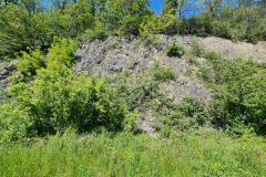 2021-05-30-Wanderung-Totenkopf-86