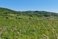 2021-05-30-Wanderung-Totenkopf-88