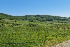 2021-05-30-Wanderung-Totenkopf-89