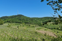 2021-05-30-Wanderung-Totenkopf-90