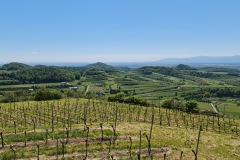 2021-05-30-Wanderung-Totenkopf-93