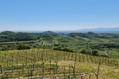 2021-05-30-Wanderung-Totenkopf-93