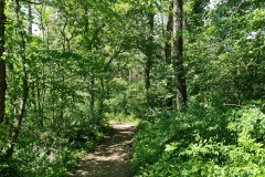 2021-05-30-Wanderung-Totenkopf-94