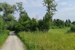 2021-06-09-Gravelbike-Kloster-Benediktbeuren-37