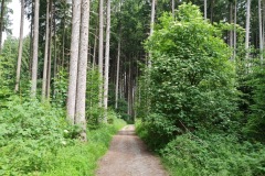 2021-06-09-Gravelbike-Kloster-Benediktbeuren-41