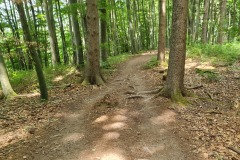 2021-06-09-Gravelbike-Kloster-Benediktbeuren-51