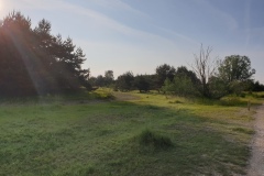 2021-06-12-Gravelbike-Muenchen-Nord-015