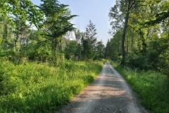 2021-06-12-Gravelbike-Muenchen-Nord-033