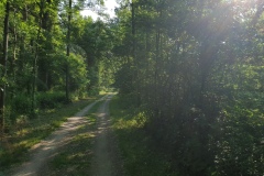 2021-06-12-Gravelbike-Muenchen-Nord-038