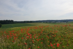 2021-06-12-Gravelbike-Muenchen-Nord-047