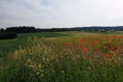 2021-06-12-Gravelbike-Muenchen-Nord-048