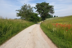 2021-06-12-Gravelbike-Muenchen-Nord-052